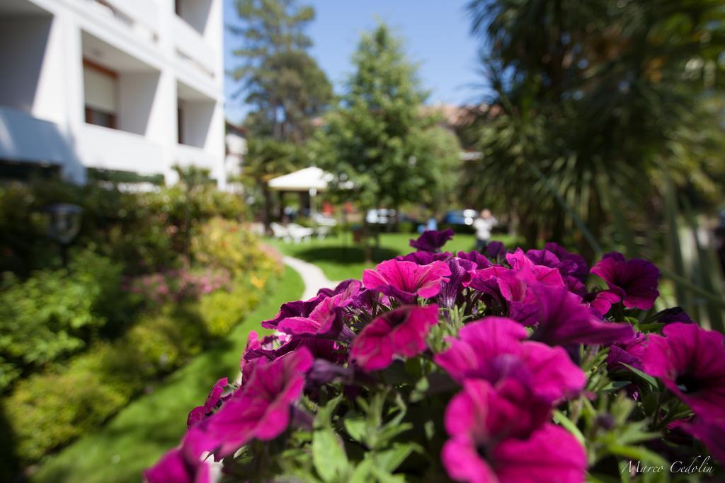 Hotel Mar Del Plata 4*